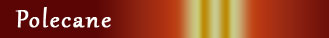 polecane